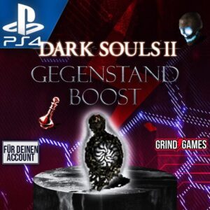 Dark Souls 2 Max Consumption Items PS4/5