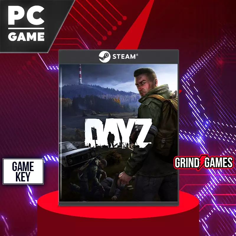 PC-Spiel DayZ Cover mit Spielschlüssel