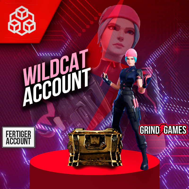 Fortnite Wildcat Account Angebot mit Schatzkiste